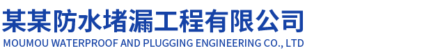 周口雨中行堵漏工程有限公司